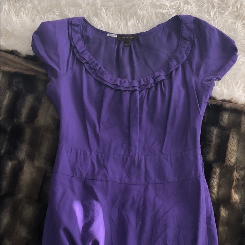 The Limited size 0 Dress - Picture 2 of 4